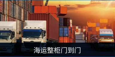 海运整柜门到门